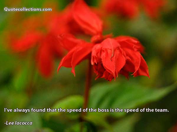 Lee Iacocca Quotes3
